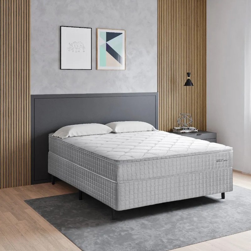 C-DREAM14 F2